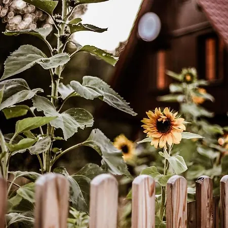 Kaszubski Dom Podcieniowy Bohema Mezowo Exterior foto