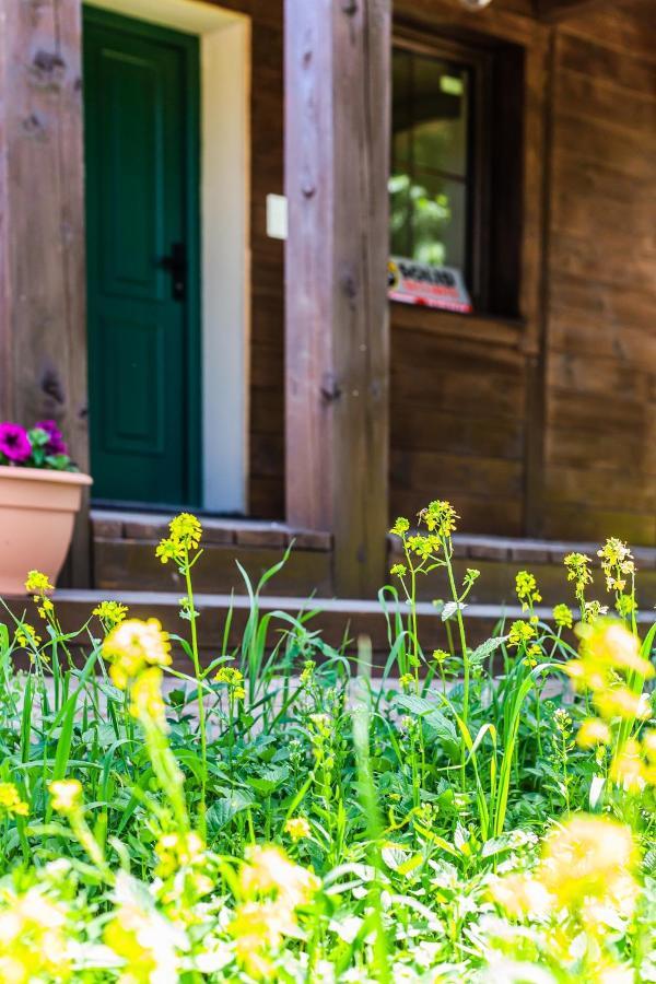 Holiday home Kaszubski Dom Podcieniowy Bohema *